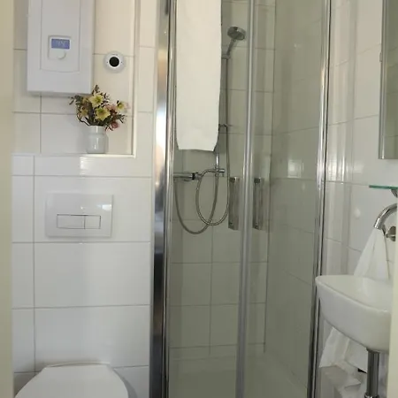 Apartment Gaestehaus Zum Rhein