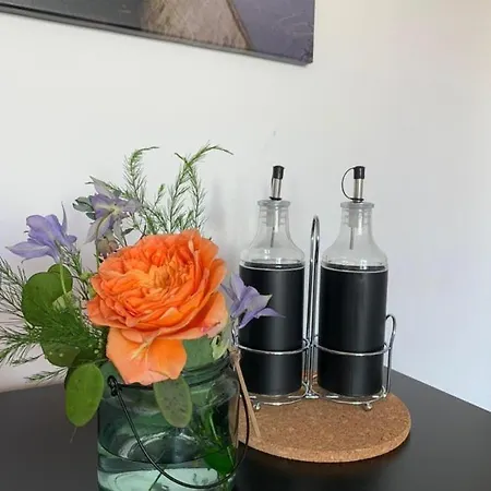 Apartment Gaestehaus Zum Rhein