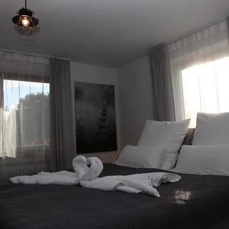 Apartment Gaestehaus Zum Rhein *